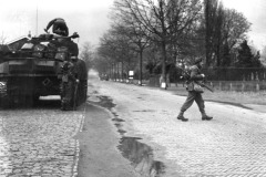 pag.087 - Sherman tank (Firefly)