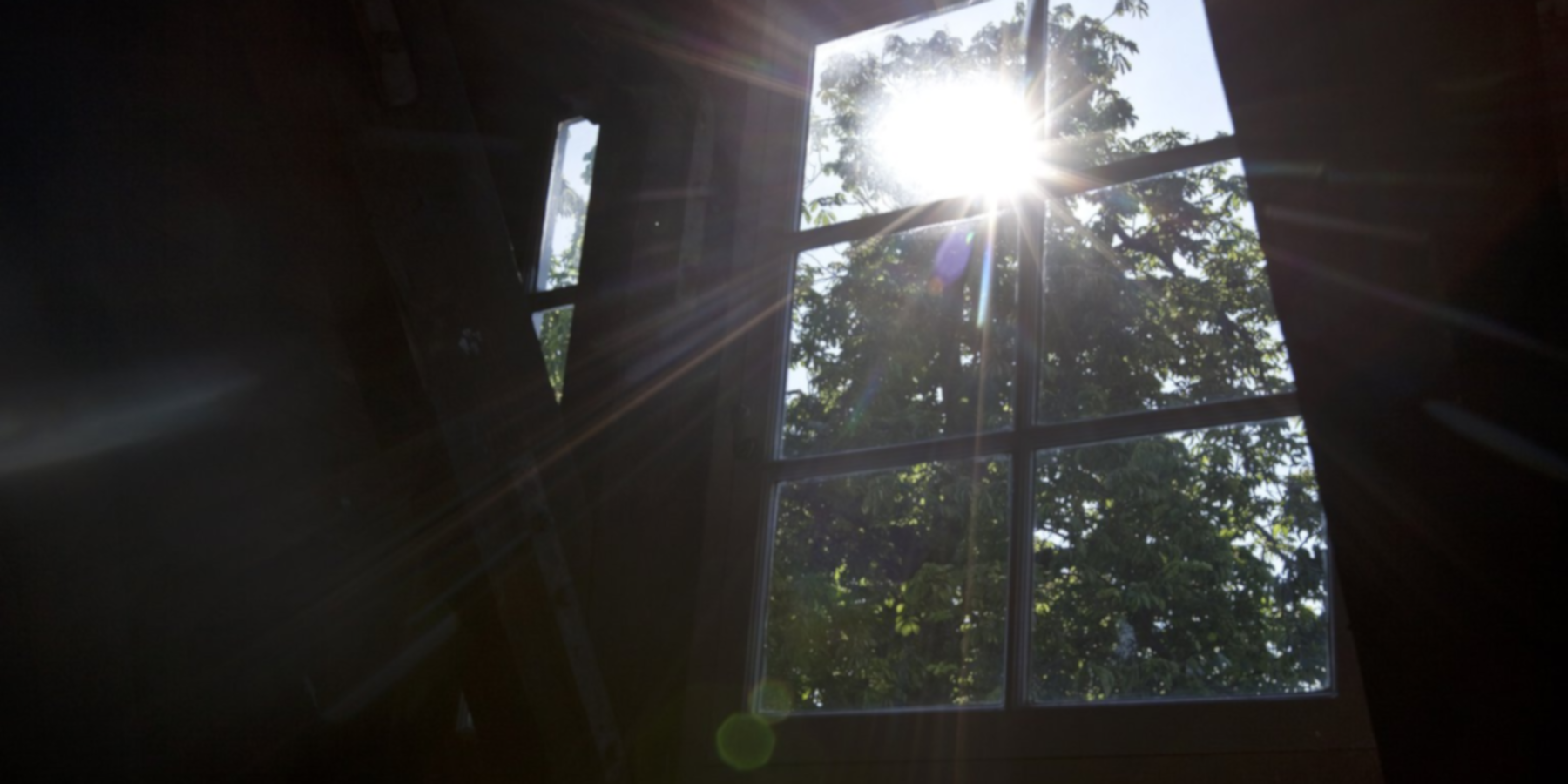 Uitzicht vanuit het achterhuis op de Anne Frank boom (bron: https://www.annefrank.org/nl/anne-frank/het-voorhuis/de-kastanjeboom)